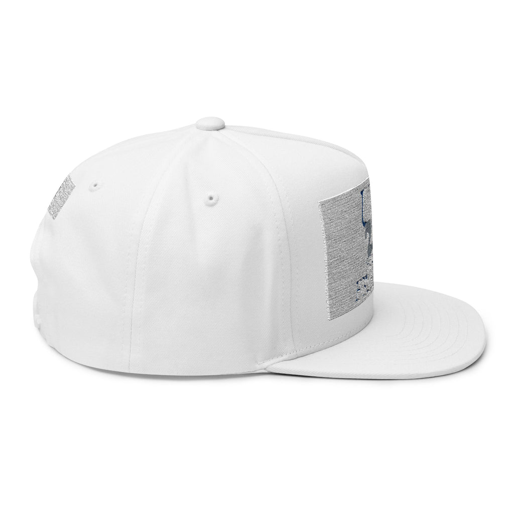 USA 250 freedom anniversary Flat Bill Cap | Hats | Al Mery's Paradise