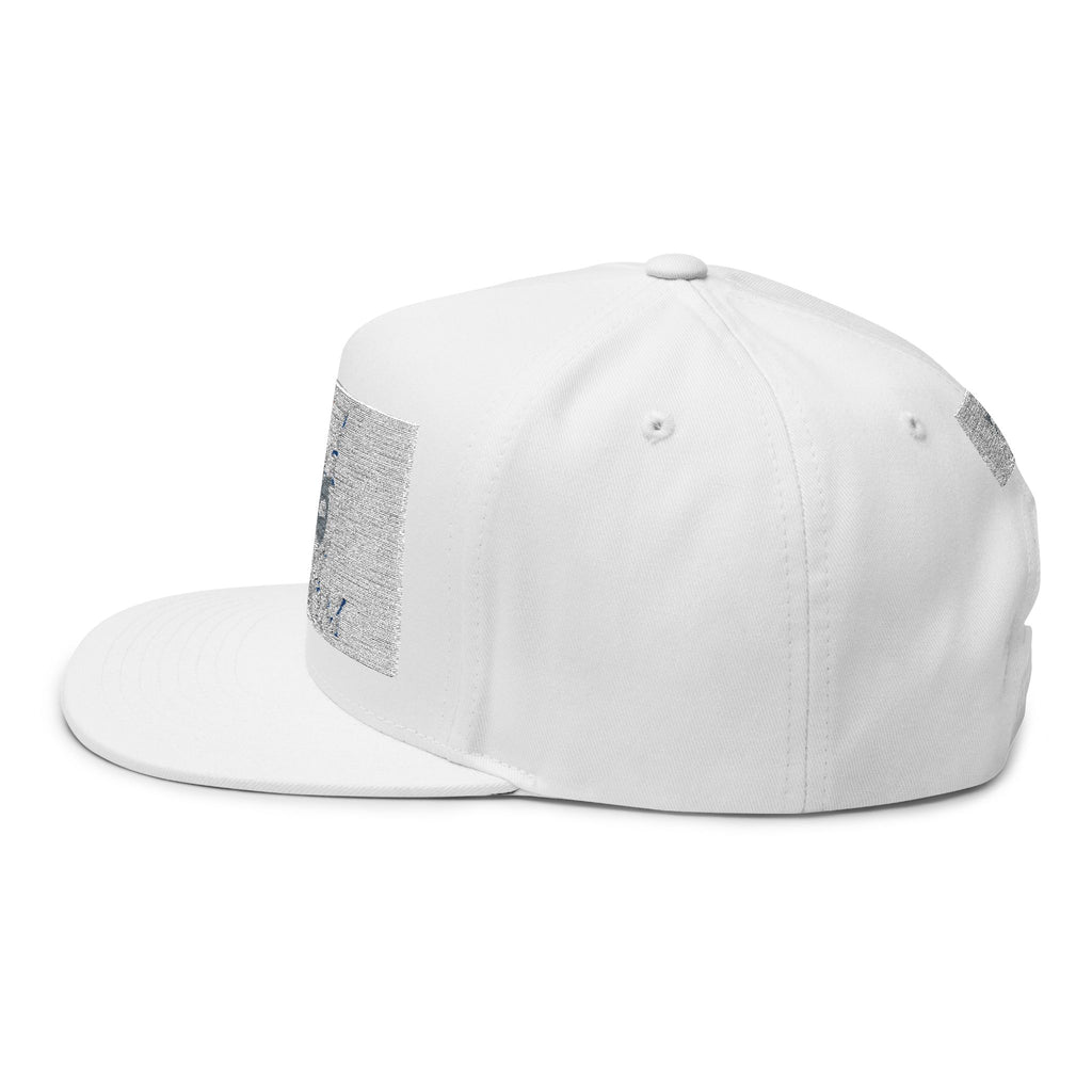 USA 250 freedom anniversary Flat Bill Cap | Hats | Al Mery's Paradise